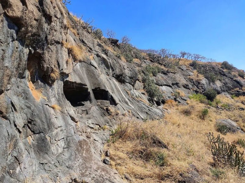 Dermal Fort, Nadse, Maharashtra, India